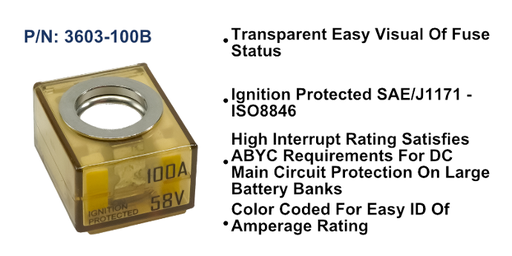 [3603-100B] MRBF Terminal Fuse - 100A, Bulk Pack